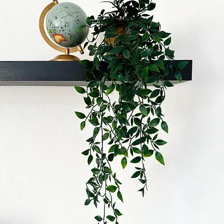 Moderne In Hdz&klinik Naehe